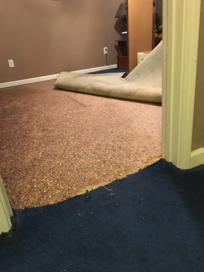Carpet pad removal revealing water damage during Water Mitigation Services in Lake Grove