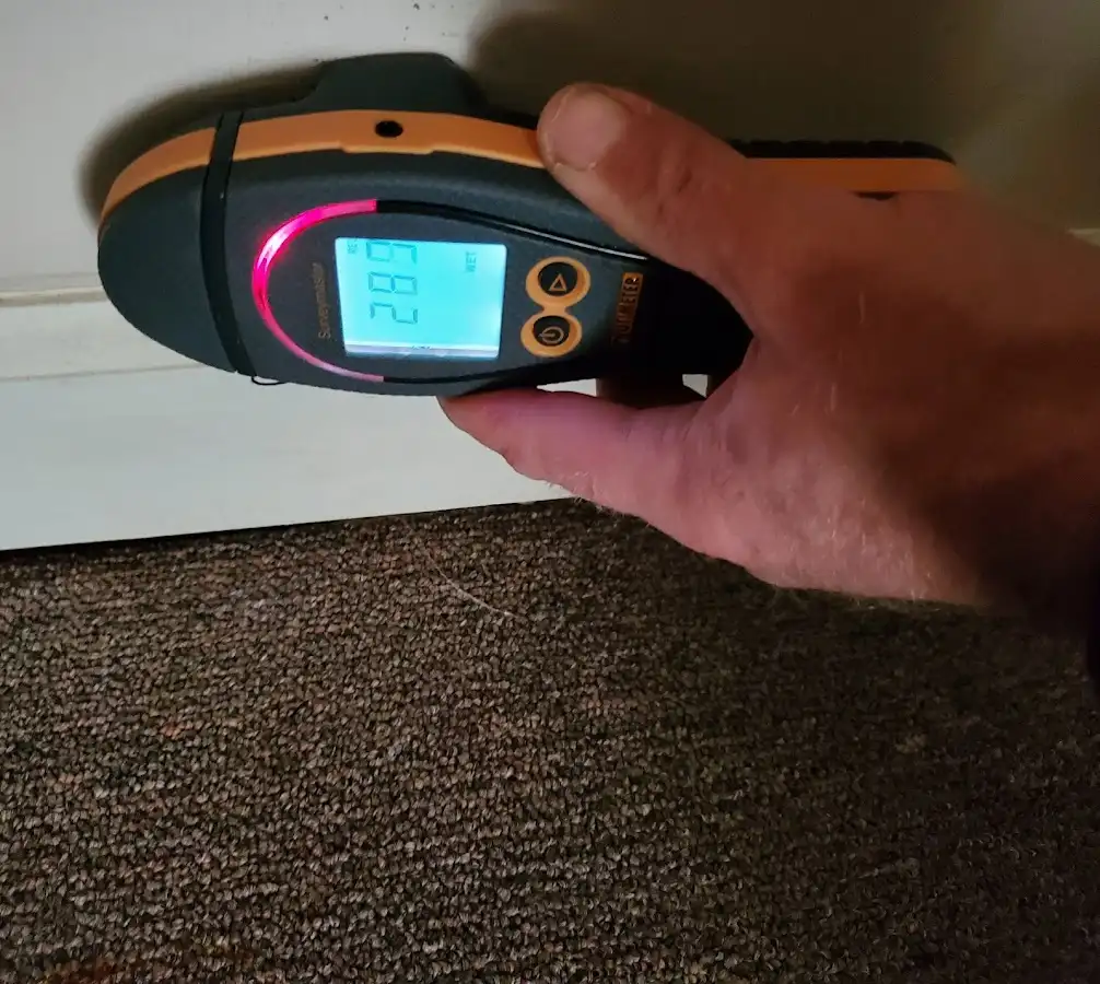 Moisture detection at baseboard during Sewage Cleanup & Sanitation in Lake Grove