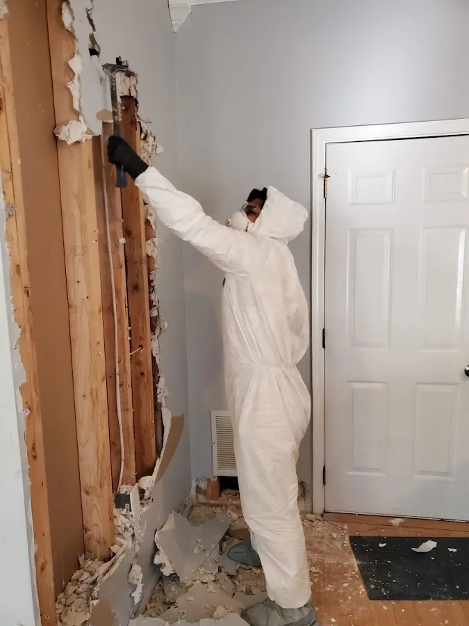 Mold Remediation & Removal in Lake Grove, NY